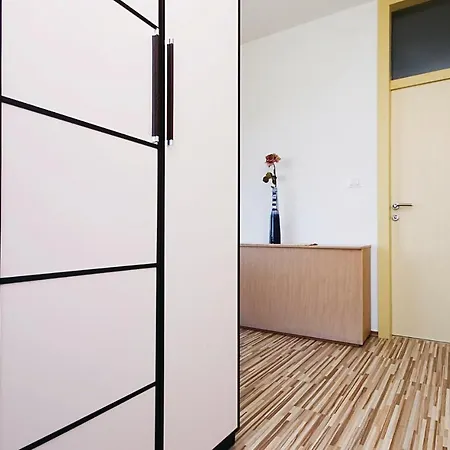 Three-bedroom In Appartement Kožino